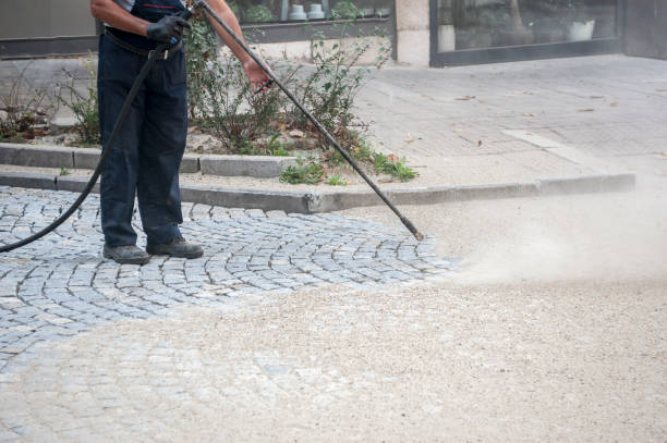 Best Animal Enclosure Cleaning  in Nashvle, IL